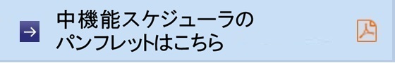 @\XPW[̃ptbg͂